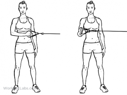 How to Strengthen your Rotator Cuff